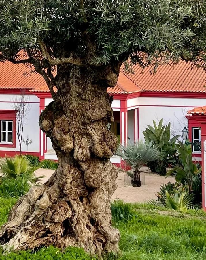 Best Luxury Boutique B&B Vista Do Vale Томар Екстериор снимка